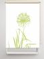 Preview: Rollo Allium 24 blanco Apfel, Rollo, Motivrollo, Rollo mit Druck, Fotorollo, bedrucktes Rollo, Fensterrollo,verdunkelndes Rollo, Sonnenschutz Rollo